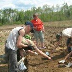 В Туве собираются возродить советские лесничества при школах