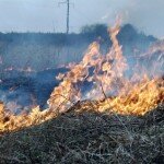 В тайге Забайкалья за сутки зафиксировано 38 пожаров