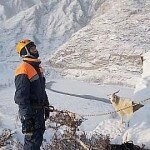 В Республике Алтай сотрудники МЧС спасли отару овец, загнанную на скалы